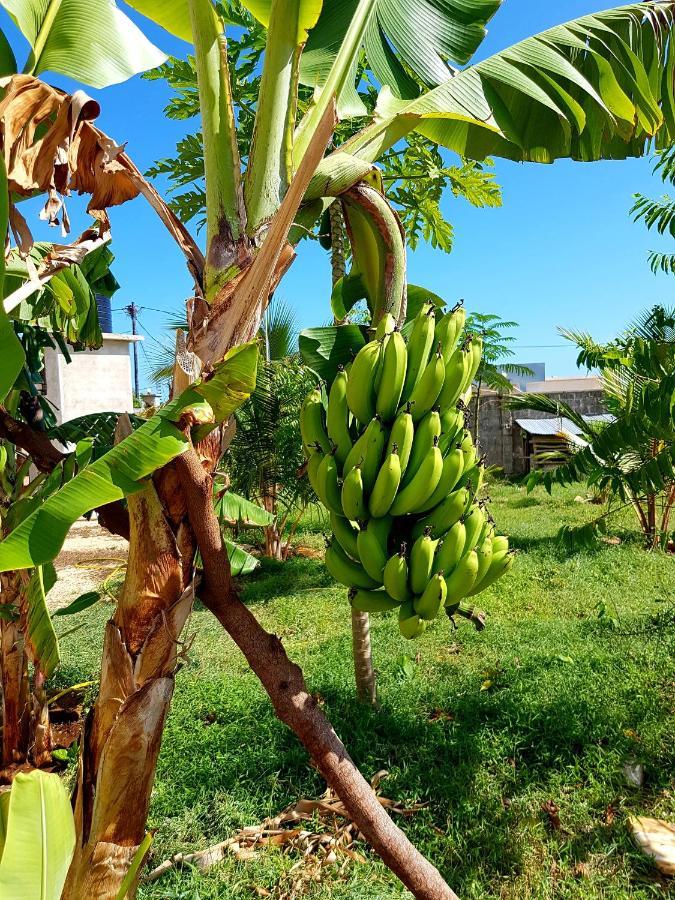نونغوي Mimi Na Wewe Villa المظهر الخارجي الصورة