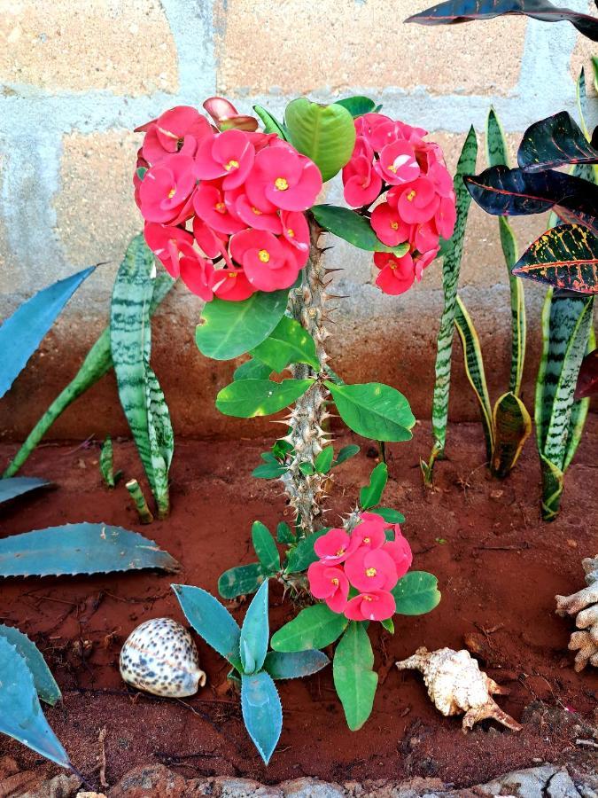نونغوي Mimi Na Wewe Villa المظهر الخارجي الصورة